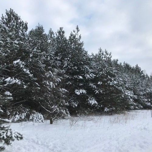 Poland Sales Visit January 2018